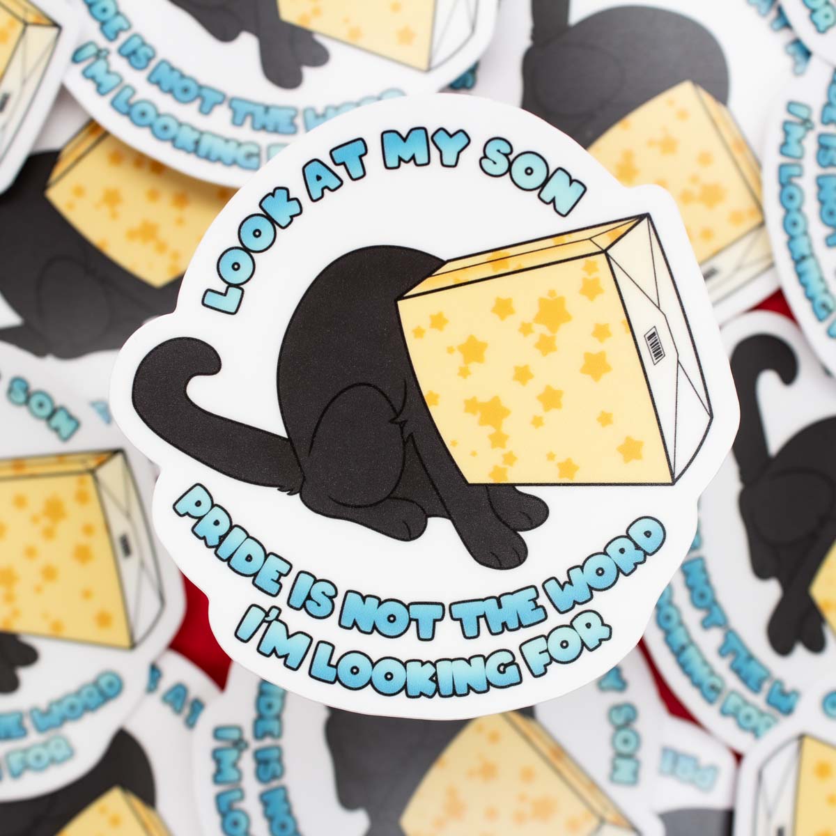 Look At My Son Vinyl Sticker