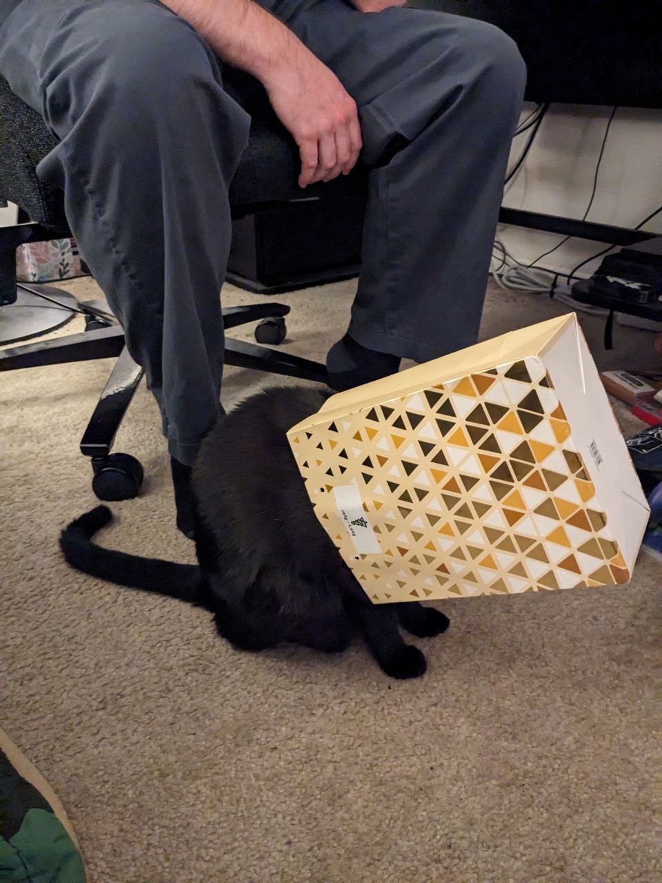 Look At My Son Vinyl Sticker
